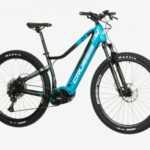 PAN-Fionna 9.8-M (17) HORSKÉ elektrokolo 29"