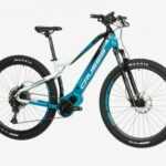 OLI Fionna 8.8-S (17) HORSKÉ elektrokolo 29"