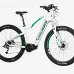 e-Fionna 5.8 (19) HORSKÉ elektrokolo 29"